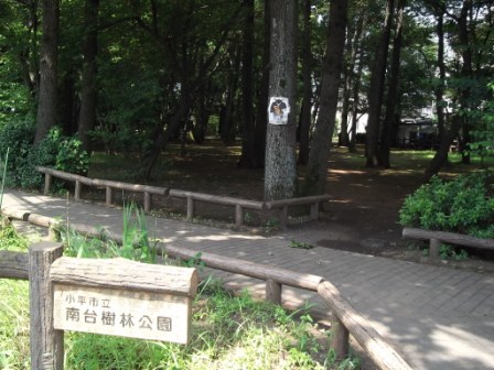 南台樹林公園と看板
